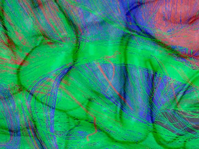 Barry Giesbrecht to co-direct ICB